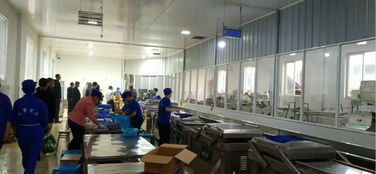 沐川縣政府信息公開軟件開發(fā) 提升政務透明度與便民服務效能